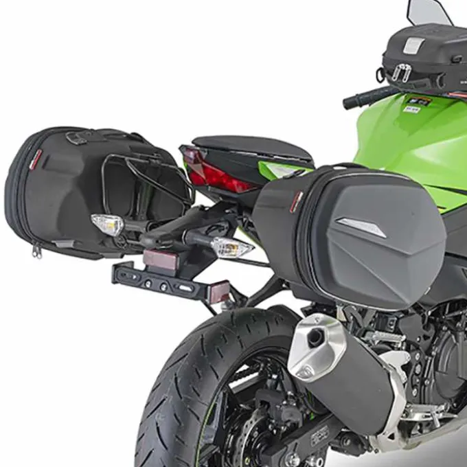 Coppia Borse Laterali ST609