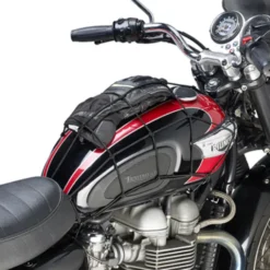 Rete elastica T10N